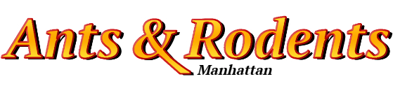 Manhattan Ant Exterminator & Rodent Control Company Logo